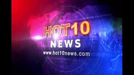 Paris Hilton New Dog Mr Amazing Pomeranian