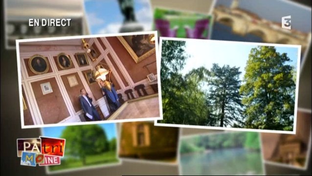 Les Journées du Patrimoine en direct du château d'Arcelot sur France 3 Bourgogne