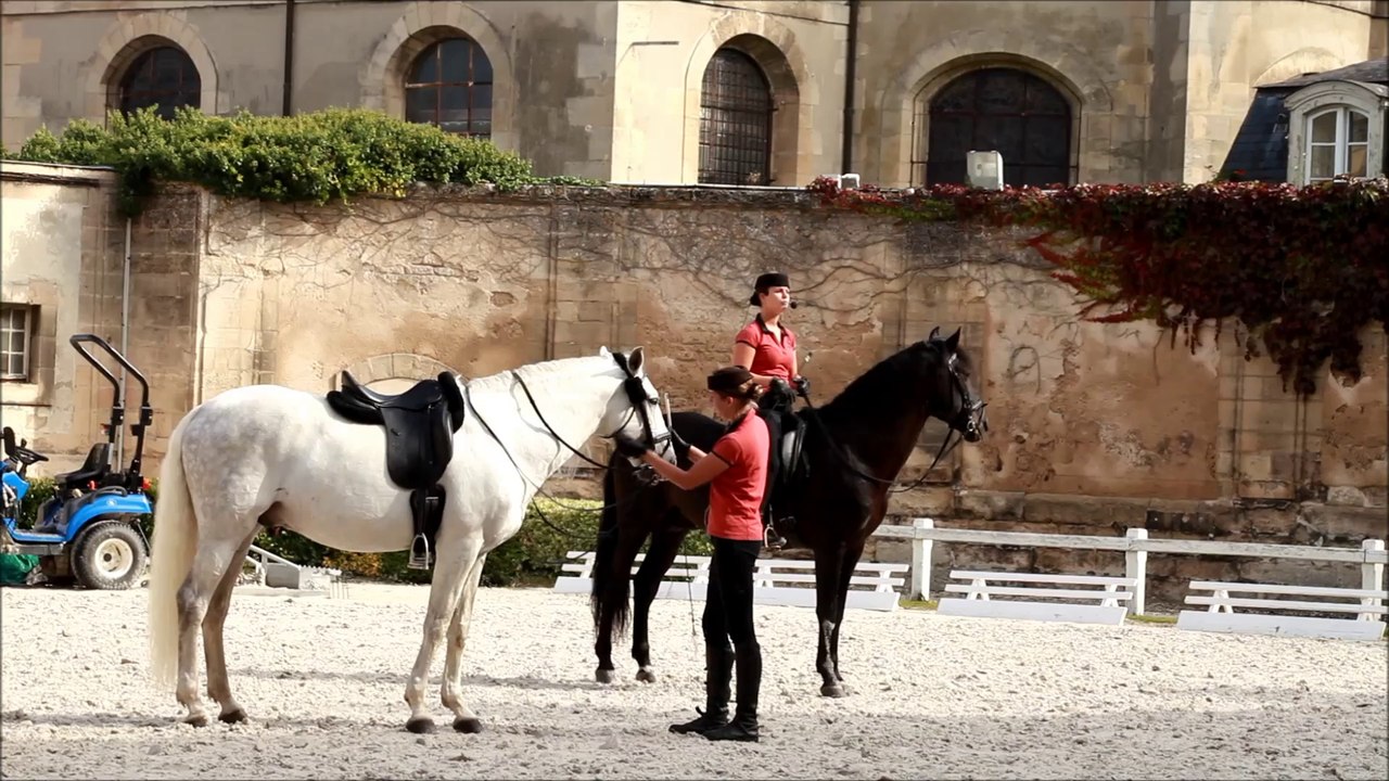 Musé du Cheval de Chantilly