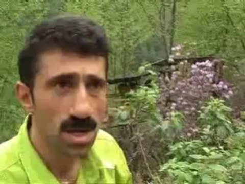 Organik Bal Üretimi Rize Fındıklı