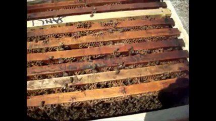 HOCAMIZ ile KOVAN BAŞI MUHABBETİ