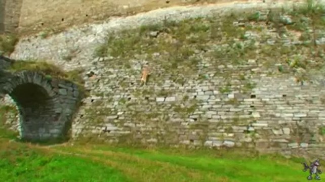 Tek kelime ile harika