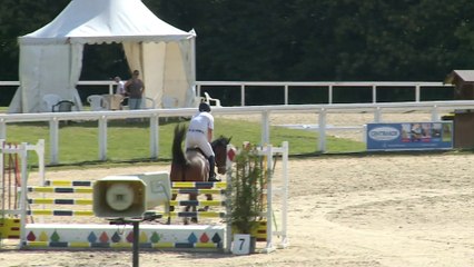 VOLGANN DU GUEJOUBERT - Le Lion d'angers