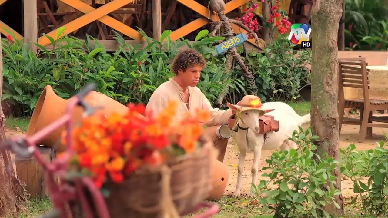Flor del Caribe Cap 82