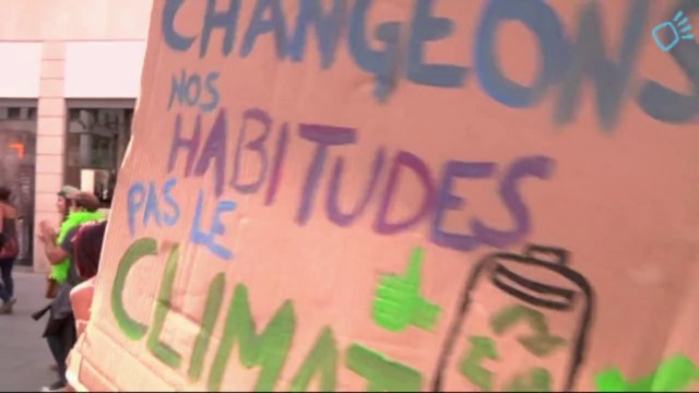 Manifestation Avaaz citoyens pour la protection du climat - Lyon 2014