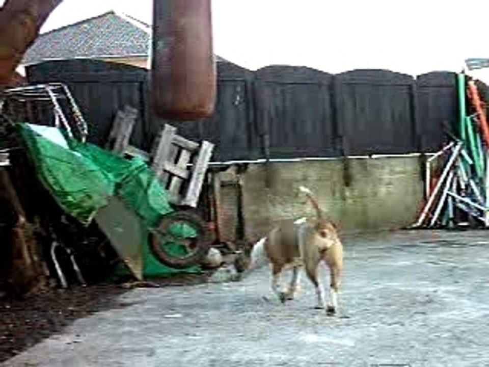 BUFFY LA FOFOLLE 1