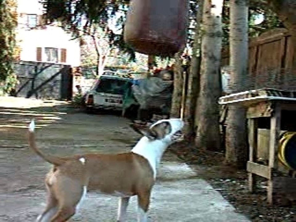 BUFFY LA FOFOLLE 2
