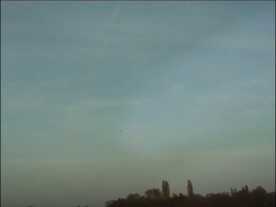 Roar the howling Mustang not (Katy Perry)