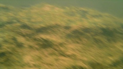 Expedição Água Potável nascente do Rio Paraibuna, (82)