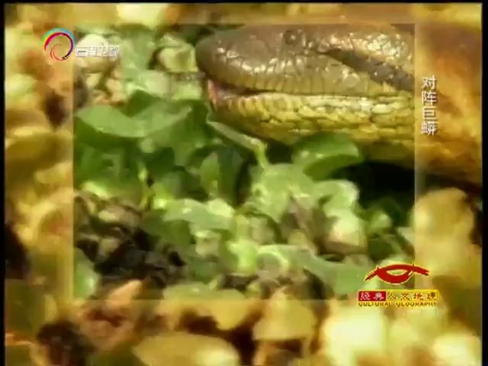 20140921 经典人文地理 对阵巨蟒