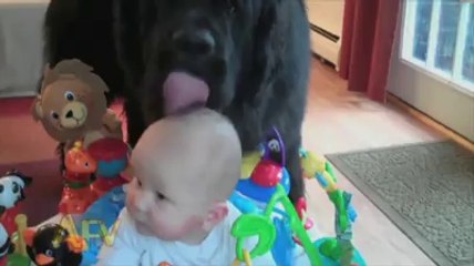 Little cute's babies smile - Funny video