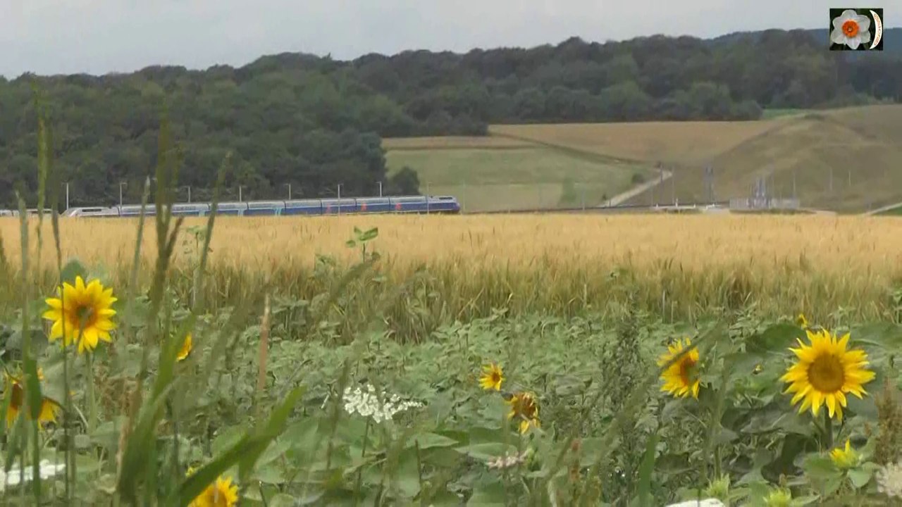 LGV RHIN-RHÔNE ETE 2014