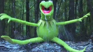 Kermit the Frog 2014 Ice Bucket Challenge - ALS Challenge