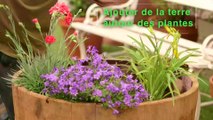 Déco Brico Jardinage : Planter des plantes vivaces dans une potée fleurie
