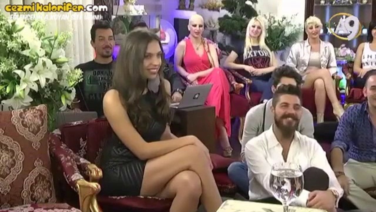 Adnan Oktar İngilizcesi  ve Sırp Kediciği Maya