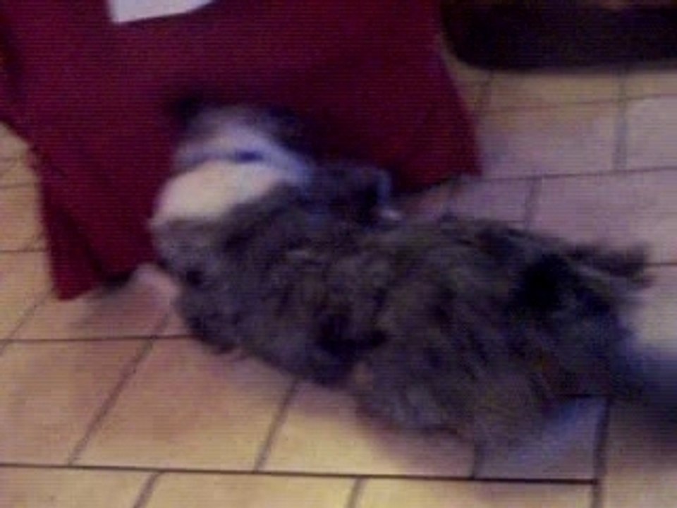 very joue avec son bébé