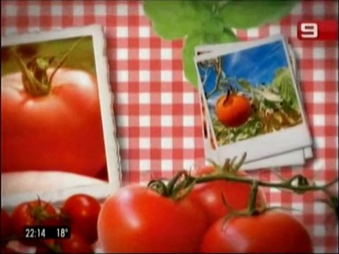 Pifie Canal 9 Litoral (afiliado representado de El Trece)