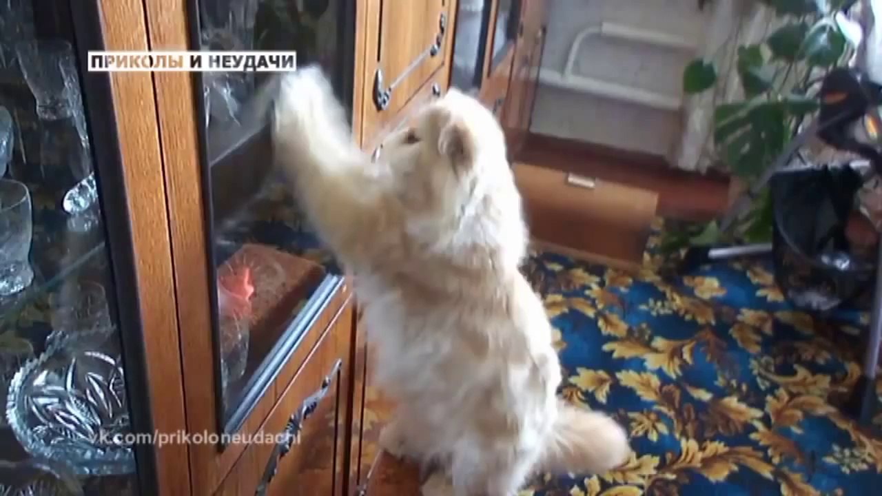 Russian accidents crazy people drivers drunk funny videos We Love Russia compilation 2014