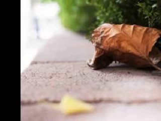 홍성오피  yupd1_com 안양건마［민트］