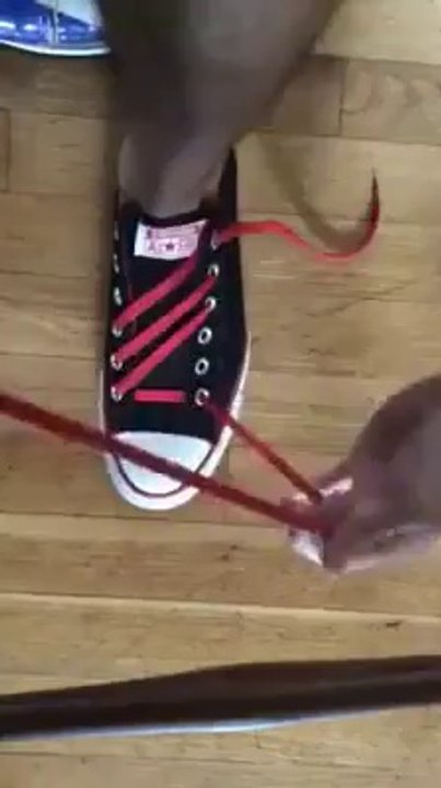 Farklı bir stil isteyenlere.