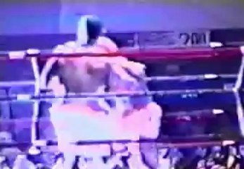 Roy Jones Jr vs Eddie Evans 1991-04-13