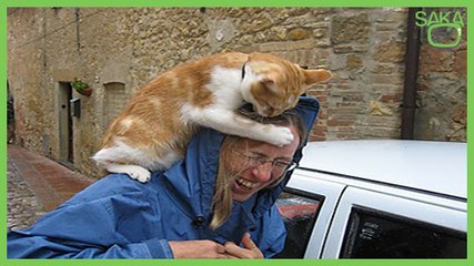 Hayvanlar Vs İnsanlar