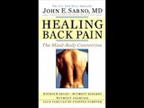 Healing Back Pain: The Mind-Body Connection John E. Sarno PDF Download