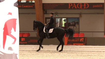 Grand National de Dressage - étape n°5 Le Mans 13/09/2014