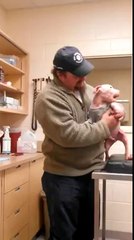 Lorsqu'un bébé pitbull reconnaît l'homme qui lui a sauvé la vie