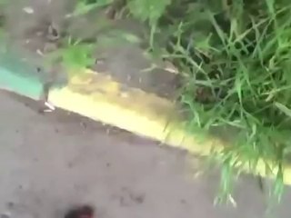 Russian Girl Returns The Dog's Poop To Owner!