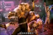 貓Cats-蘭特塔格The Rum Tum Tugger 2 (搖滾貓)(翻譯 By AJ)