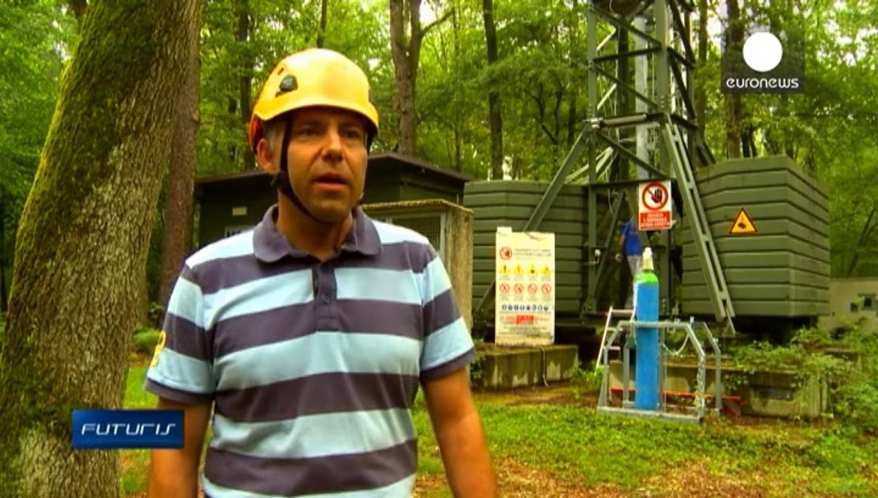 Qual o impacto que as mudanças climáticas têm nas florestas?