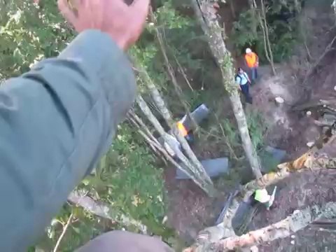 ZAD du Testet 2014 - Bûcheron hors légal ? SEBSO - Sté Exploitation des Bois du Sud Ouest