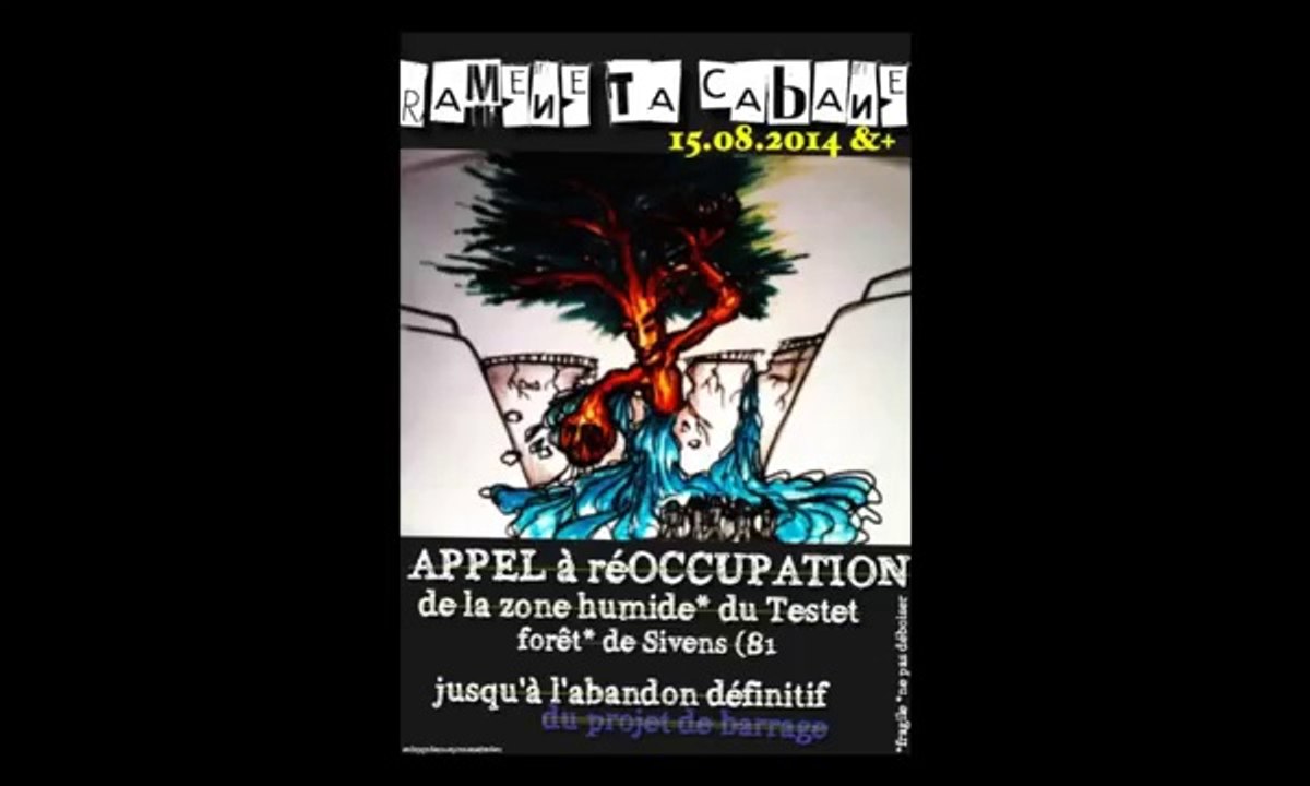 Forêt de Sivens - Fred opposant au projet de construction du barrage de Sivens - Tarn