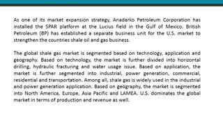 Global Shale Gas Market (Technology, Application, Geography) 2013 - 2020