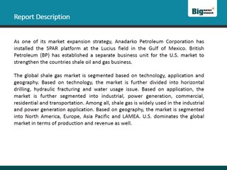 Global Shale Gas Market (Technology, Application, Geography) 2013 - 2020