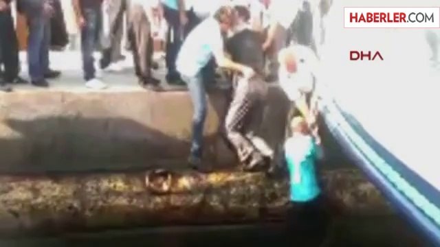 Denize Düşen Yaşlı Adamı Kurtarmak İsterken, Kendisi de Düştü