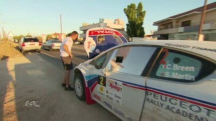 FIA ERC Asfalistiki Cyprus Rally 2014 - Breen's Survivor Spirit
