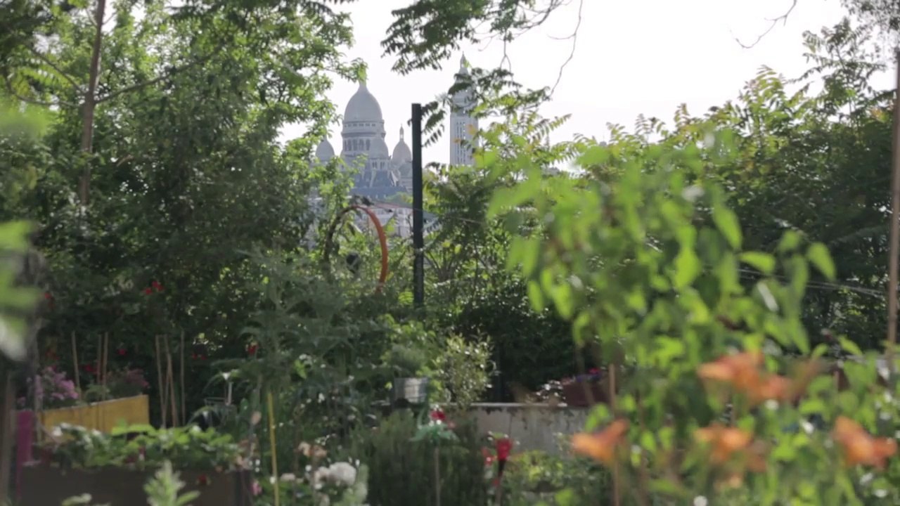 Nature en ville et citoyennete