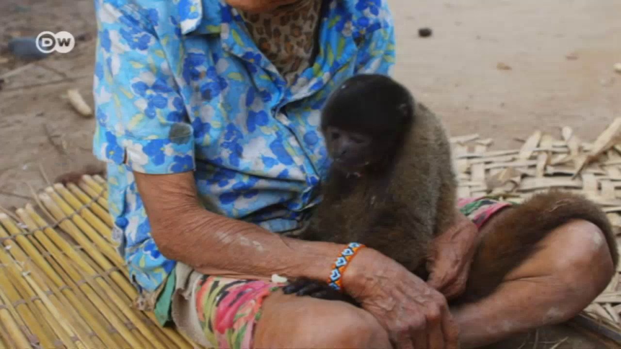 Peru - die hüter des waldes | global 3000