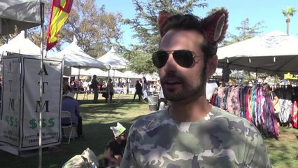 Cine para amantes de los gatos