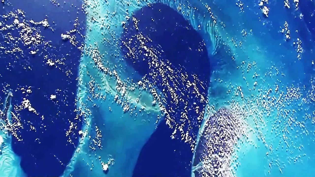 2 - (Cap.2) - La Misión a Recordar