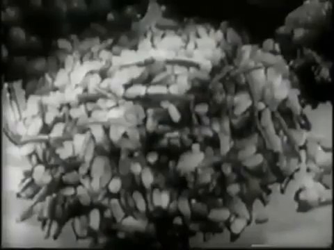 VINTAGE 1962 RICE A RONI COMMERCIAL ~ THE SAN FRANCISCO TREAT