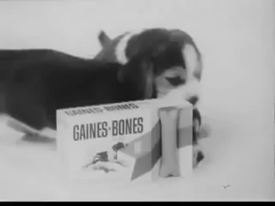 GAINES BONES COMMERCIAL ~ VERY CATCHY THEME