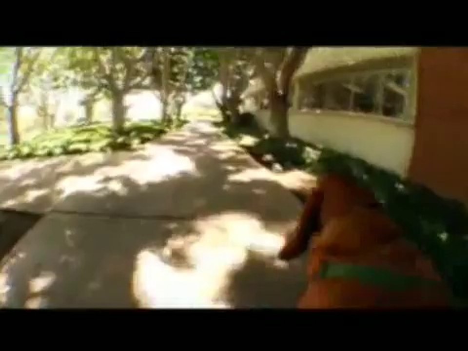 La Inteligencia en los Perros_ el sentido del olfato