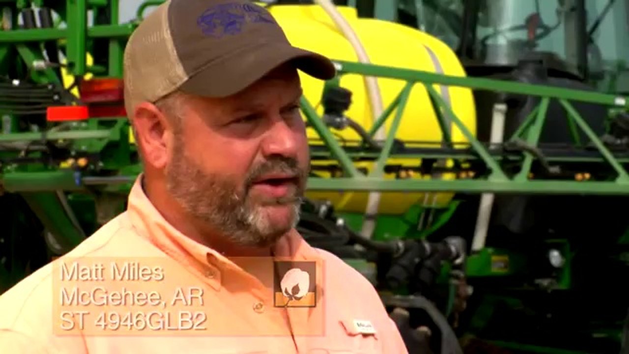 Fibermax® Stoneville® Mid-South Cotton Growers Talk 4-Bale Cotton