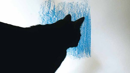 Le Paradis - Bande annonce HD