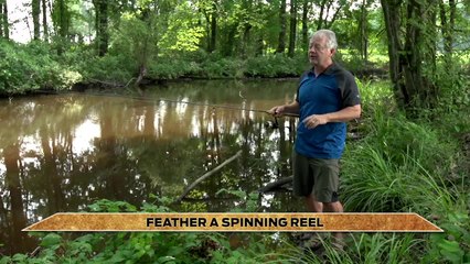 Feather a Spinning Reel