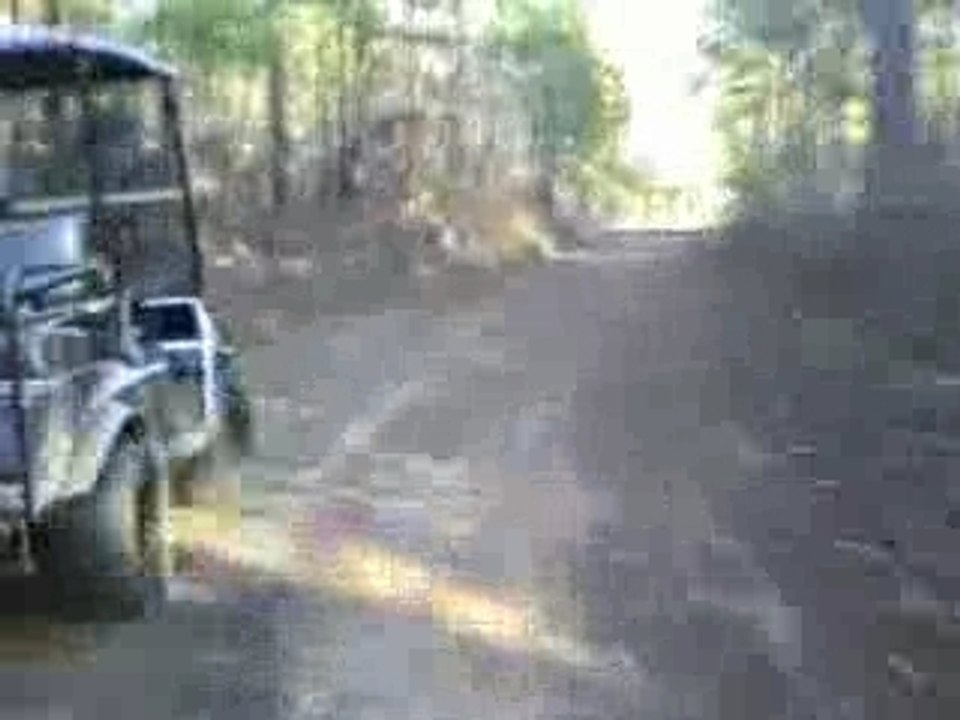 Riding tothe Stand