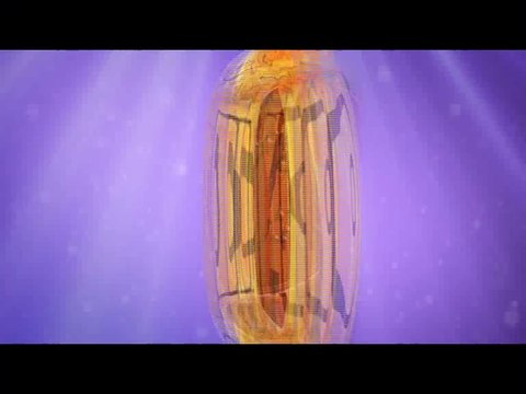 Hum Sab Umeed Say Hain-22 Sep 2014 (Bezti Jai Ni Hogai-Fish Talk)